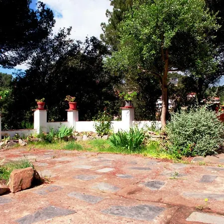 Homeholidaysrentals Violet